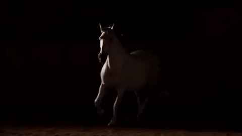 labyrinthinee's Avatar