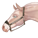 Wolfixiqiao's Avatar