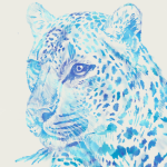 IShingaling's Avatar