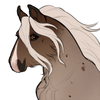 Thumbnail for ID-0095: Nutmeg