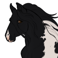 Thumbnail for ID-0229: Anise