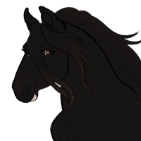 Thumbnail for ID-0238: Raven