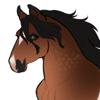 ID-0315: Ganache