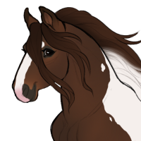 Thumbnail for ID-0357: Pokitaru