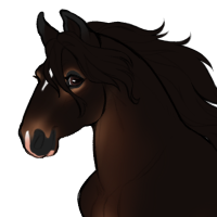 Thumbnail for ID-0454: Juniper