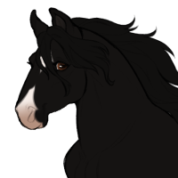 Thumbnail for ID-0541: HH One Shade Darker