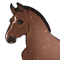Thumbnail for ID-0554: KM Spotted Wings