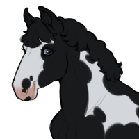 Thumbnail for ID-0715: SS Blackwater Pearls