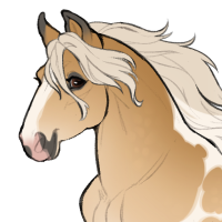 Thumbnail for ID-0813: SS Sweet Honeyed Wine
