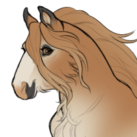 Thumbnail for ID-0818: Maple
