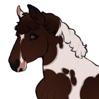 Thumbnail for ID-0846: Castanha
