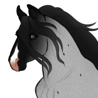 Thumbnail for ID-0888: KM The secret friend nobody knows about