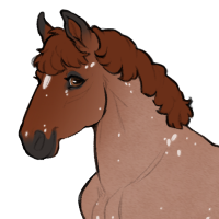 Thumbnail for ID-0924: Ginger