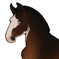 Thumbnail image for ID-0997: Lacere