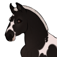 Thumbnail for ID-1063: Stella