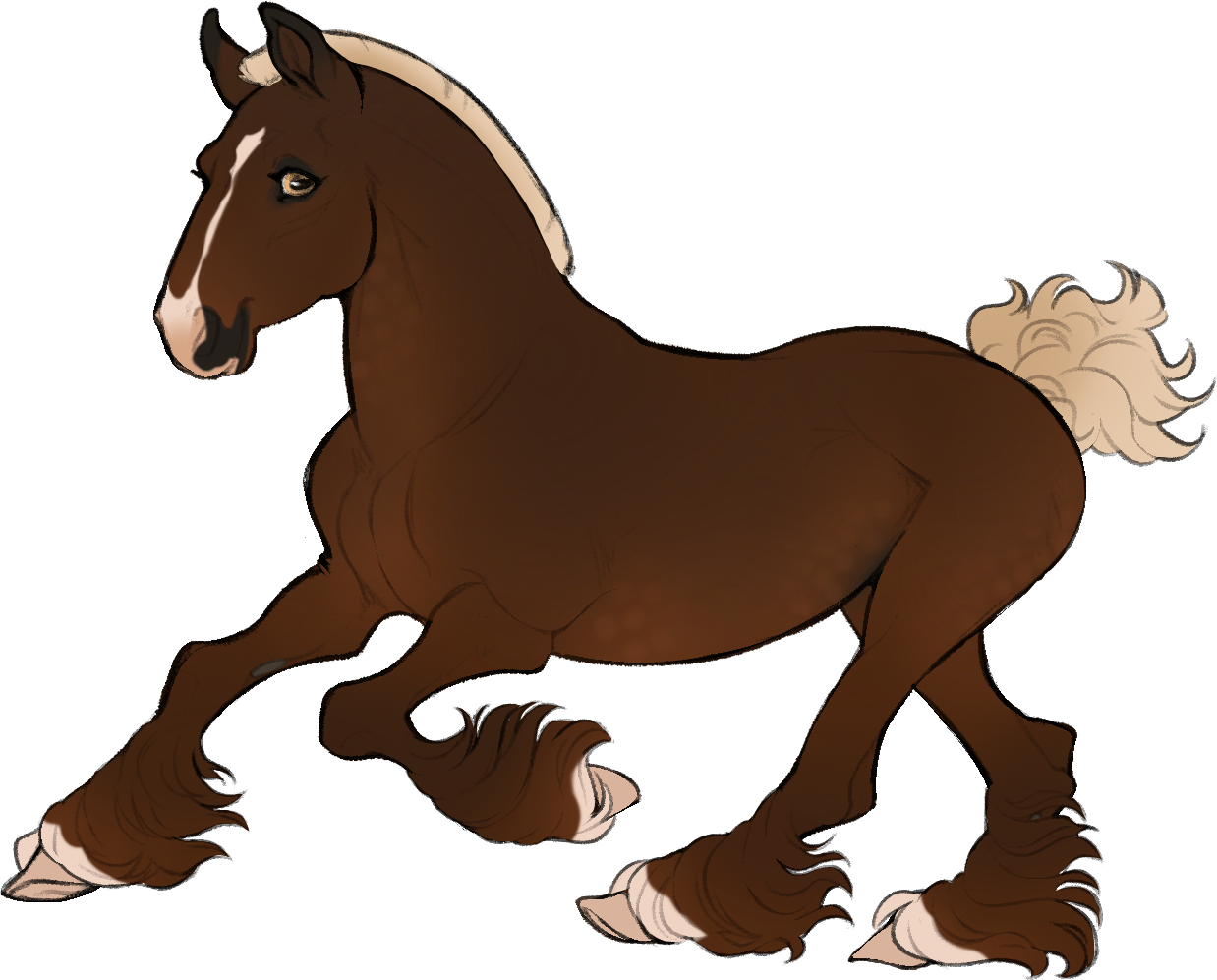 ID-1110: Howden Biggie