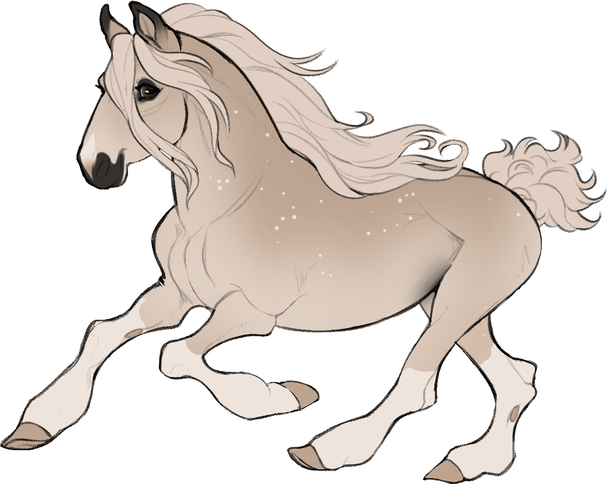 ID-1111: Bmr Roams-the-Earth