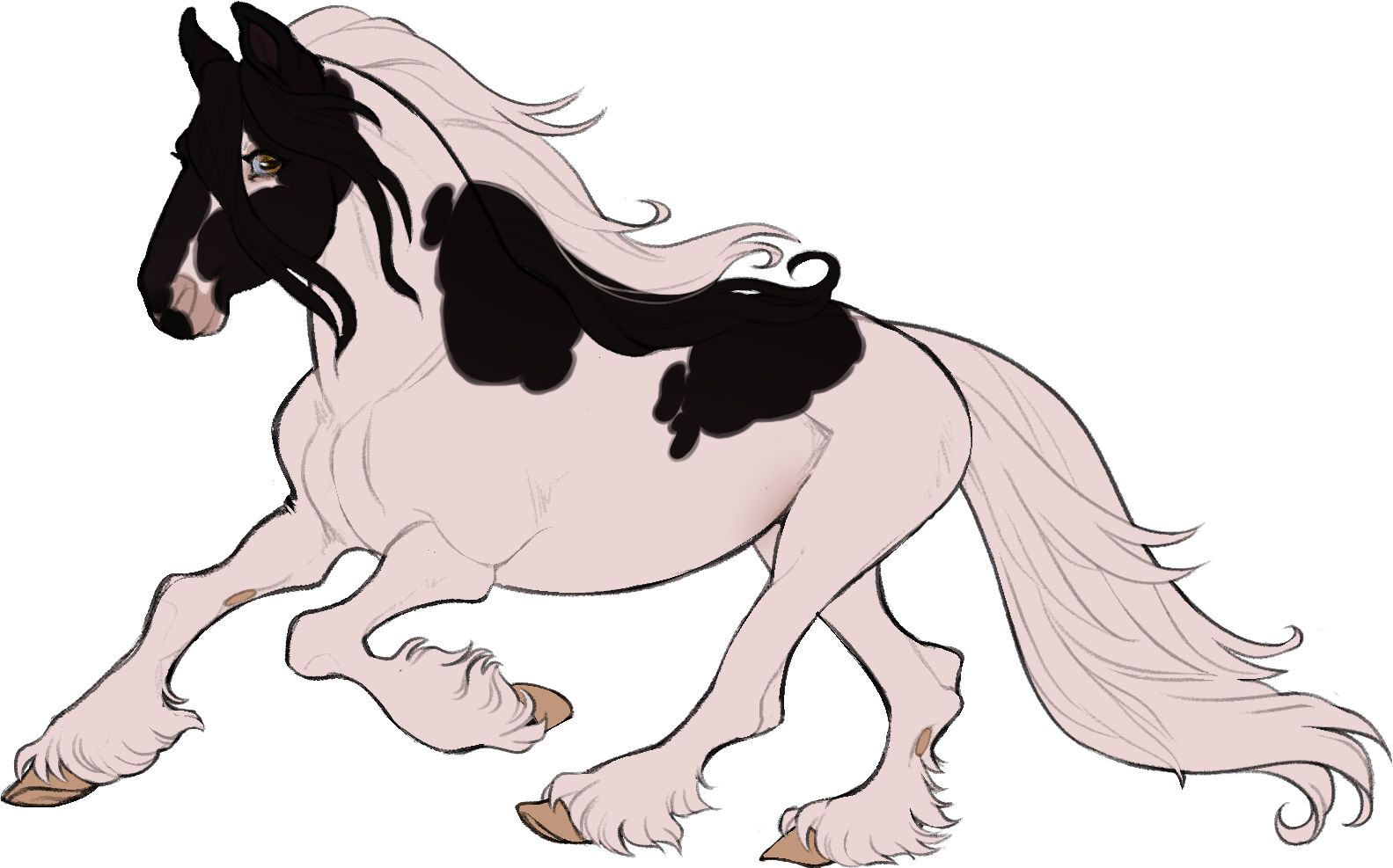 ID-1113: Birds of a Feather