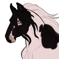 Thumbnail for ID-1113: Birds of a Feather