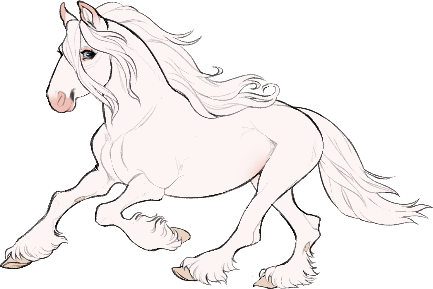 ID-1120: Pappiliodya