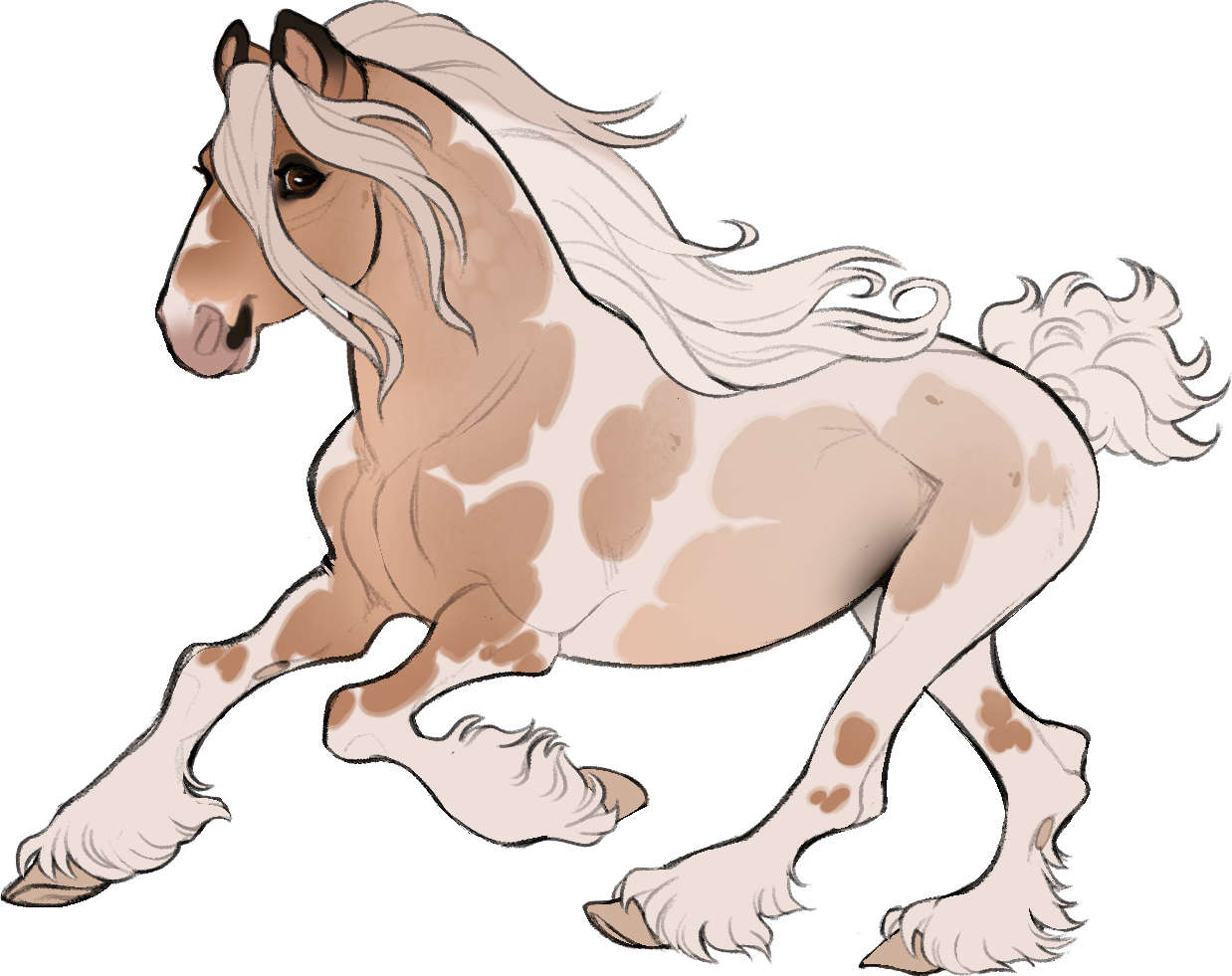 ID-1127: Small Town Pigeon