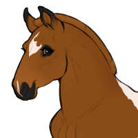 Thumbnail for ID-1133: KM What's New Scooby-Doo?