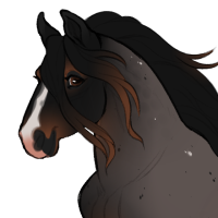 Thumbnail for ID-1136: Wolverine