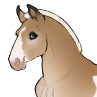 Thumbnail for ID-1143: Orion