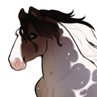 Thumbnail for ID-1159: KM Drivers License