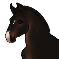 Thumbnail for ID-1162: Louis