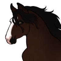 Thumbnail for ID-1166: Bruno