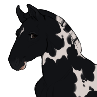 Thumbnail for ID-1186: Poplin