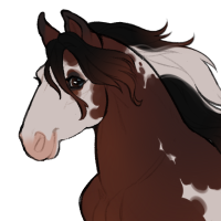 Thumbnail for ID-1189: Denim