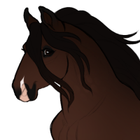 Thumbnail for ID-1199: KM Belted Poofling