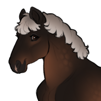 Thumbnail for ID-1202: They Told Me Seeing is Believing