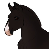 Thumbnail for ID-1214: Legume