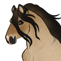 Thumbnail for ID-1240: Sunset