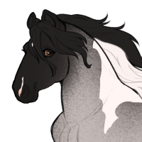 Thumbnail for ID-1257: Squid