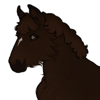 Thumbnail for ID-1269: Bangle