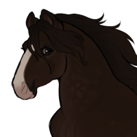 Thumbnail for ID-1266: Maple