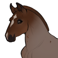 Thumbnail for ID-1263: Katt