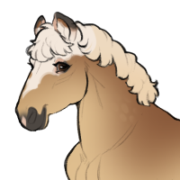 Thumbnail for ID-1311: Bok Choy