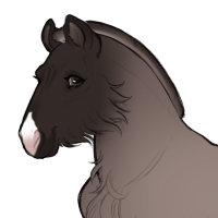 Thumbnail for ID-1317: Husk