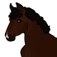 Thumbnail for ID-1373: Party Animal