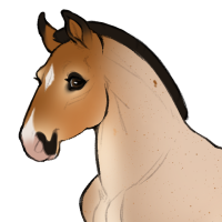 Thumbnail for ID-1389: Thickets of Desert Rose