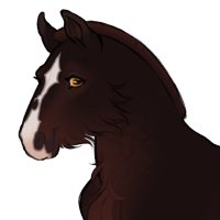 Thumbnail for ID-1416: HH Hoarder Of Treasures