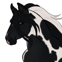 Thumbnail for ID-1490: Meet Me AT Midnight