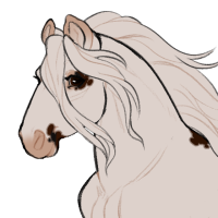 Thumbnail for ID-1496: Black Bear Jam