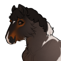 Thumbnail for ID-1502: Emu