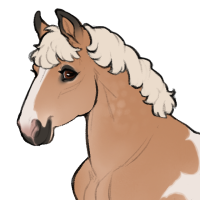 Thumbnail for ID-1563: band of aurum